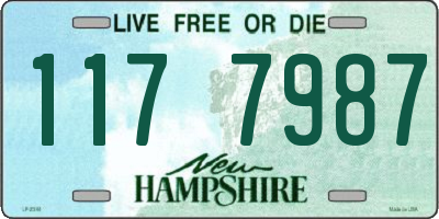 NH license plate 1177987