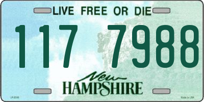 NH license plate 1177988