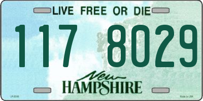 NH license plate 1178029
