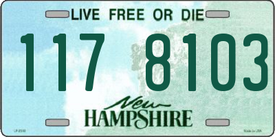 NH license plate 1178103