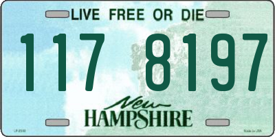 NH license plate 1178197