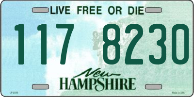 NH license plate 1178230