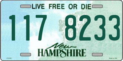 NH license plate 1178233