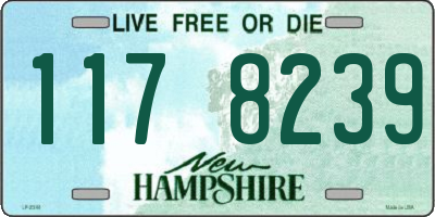 NH license plate 1178239