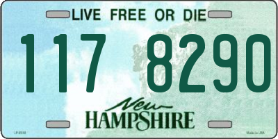 NH license plate 1178290