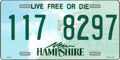 NH license plate 1178297