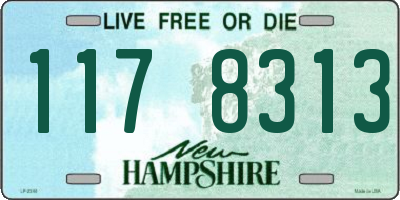 NH license plate 1178313