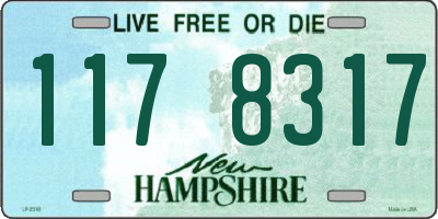 NH license plate 1178317