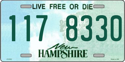 NH license plate 1178330