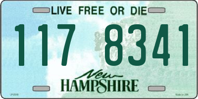 NH license plate 1178341