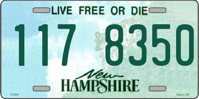 NH license plate 1178350