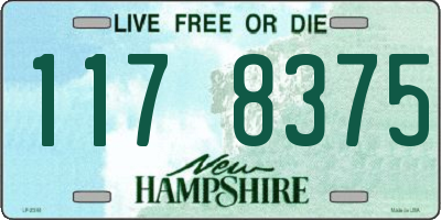 NH license plate 1178375