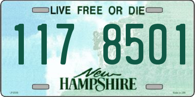 NH license plate 1178501