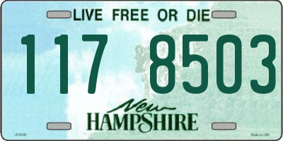 NH license plate 1178503