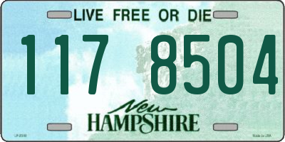 NH license plate 1178504