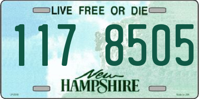NH license plate 1178505