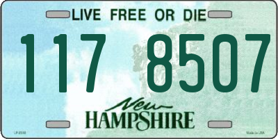 NH license plate 1178507