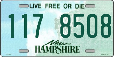 NH license plate 1178508
