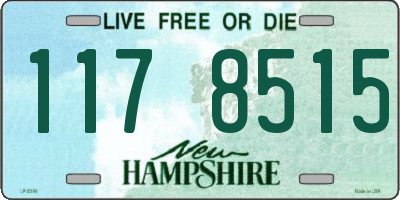 NH license plate 1178515