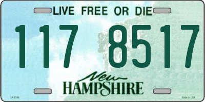 NH license plate 1178517