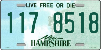 NH license plate 1178518