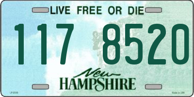 NH license plate 1178520