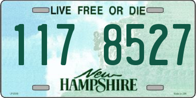 NH license plate 1178527
