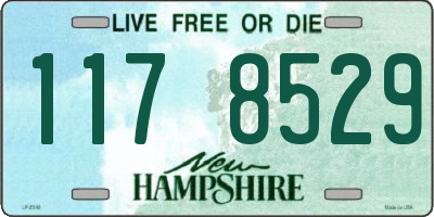 NH license plate 1178529