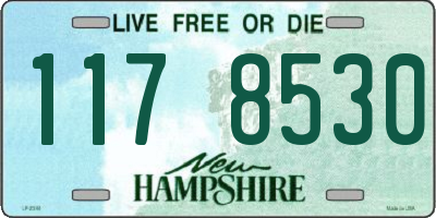 NH license plate 1178530