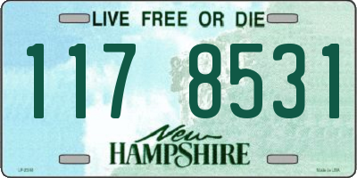 NH license plate 1178531
