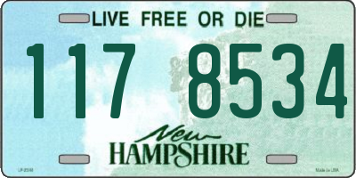 NH license plate 1178534