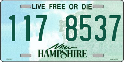 NH license plate 1178537