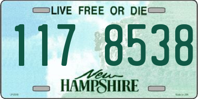 NH license plate 1178538
