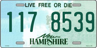 NH license plate 1178539