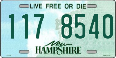 NH license plate 1178540