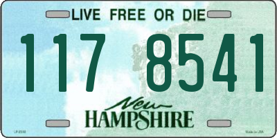 NH license plate 1178541