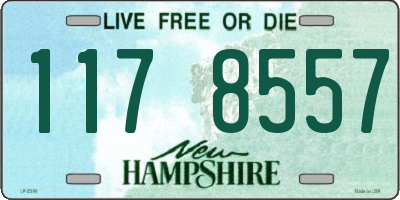 NH license plate 1178557