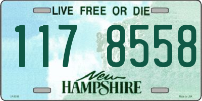 NH license plate 1178558