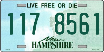 NH license plate 1178561