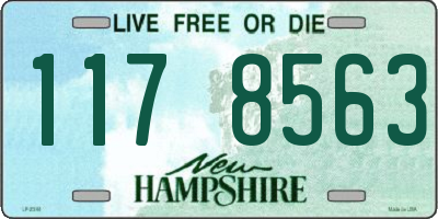 NH license plate 1178563