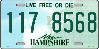 NH license plate 1178568