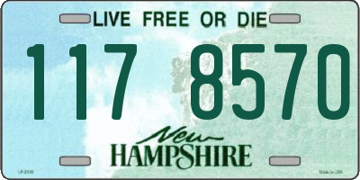 NH license plate 1178570