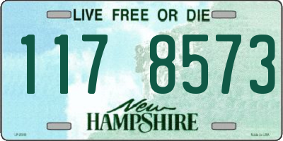NH license plate 1178573