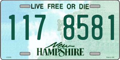 NH license plate 1178581