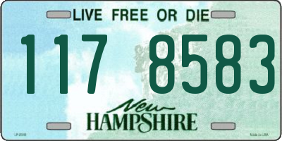 NH license plate 1178583