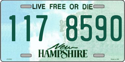 NH license plate 1178590