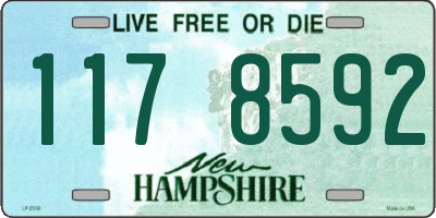 NH license plate 1178592