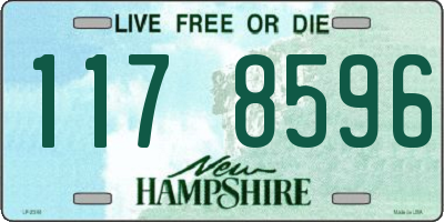 NH license plate 1178596