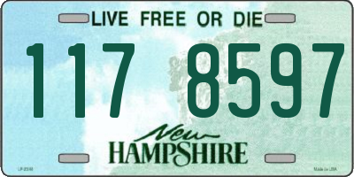 NH license plate 1178597