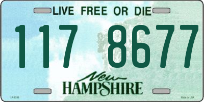 NH license plate 1178677